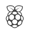AnyDesk Raspberry Pi客户端